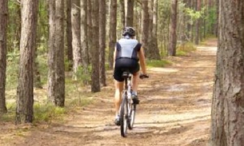 Al camping con la bici: BTT, rutas, cicloturismo