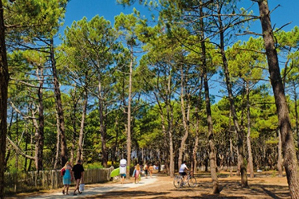 Campsite Le Vivier In Biscarrosse Vayacamping Campéole