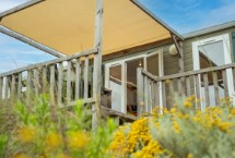 Bungalow Cottage 6 Premium