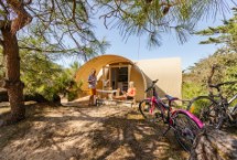 Coco-Sweets Kon Tiki