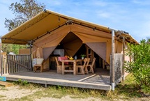 Tiendas Safari Woody