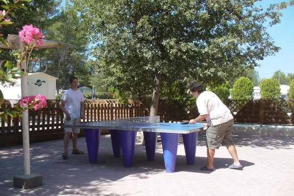 campings/francia/provenza-alpes-costa-azul/bocas-del-rodano/LeDevanon/devancon-ping-pong-personnalise.jpg