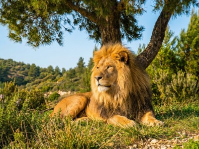 Reserva Africana de Sigean